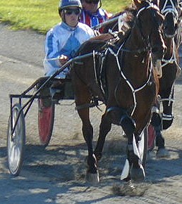 Buzz Courage holds his rivals for Regan Todd at Addington on Thursday, February 16. buzz courage